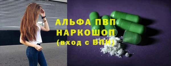 2c-b Бородино