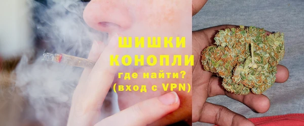 2c-b Бородино