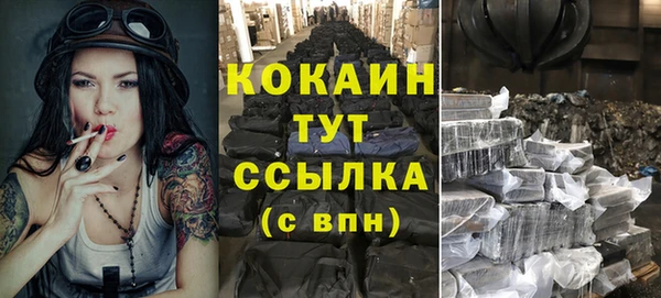 крисы Бронницы