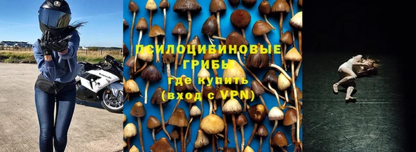 крисы Бронницы
