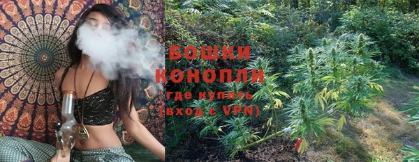 крисы Бронницы