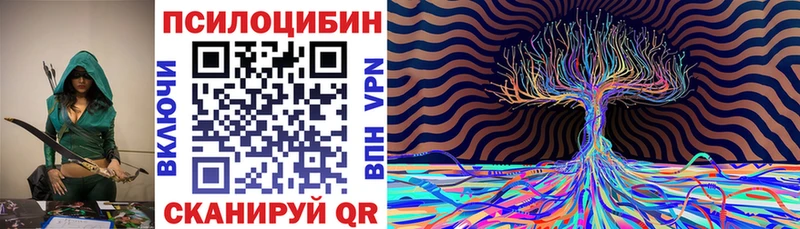 Псилоцибиновые грибы Psilocybe Болгар